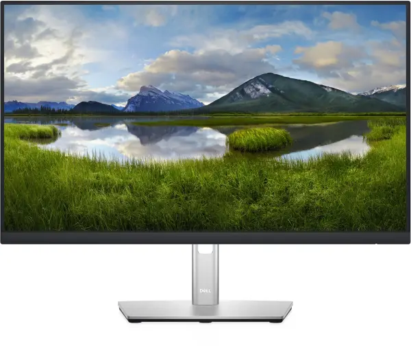 Dell - P2422H - 23.8 inch - Full HD IPS