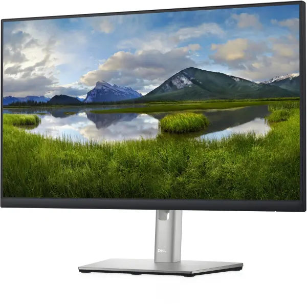 Dell - P2422H - 23.8 inch - Full HD IPS